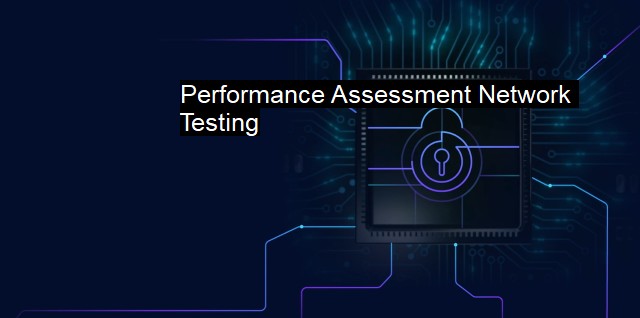 what-is-performance-assessment-network-testing